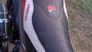 Ducati Hypermotard 939 SP (2016 - 18)  (11)