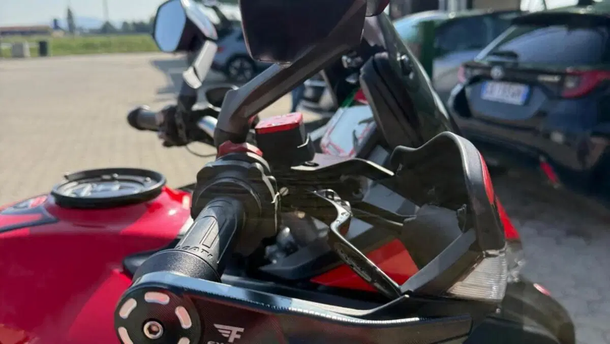 Ducati Multistrada 950 (2018)  (9)
