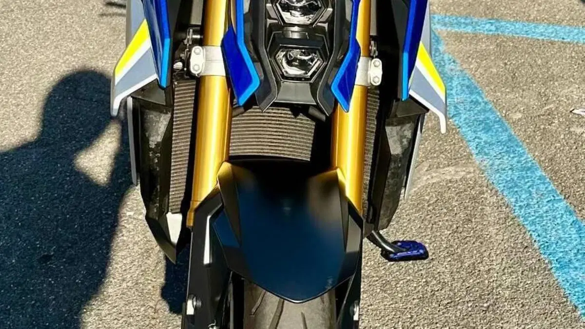 Suzuki GSX-S1000 (2021 - 25)  (4)