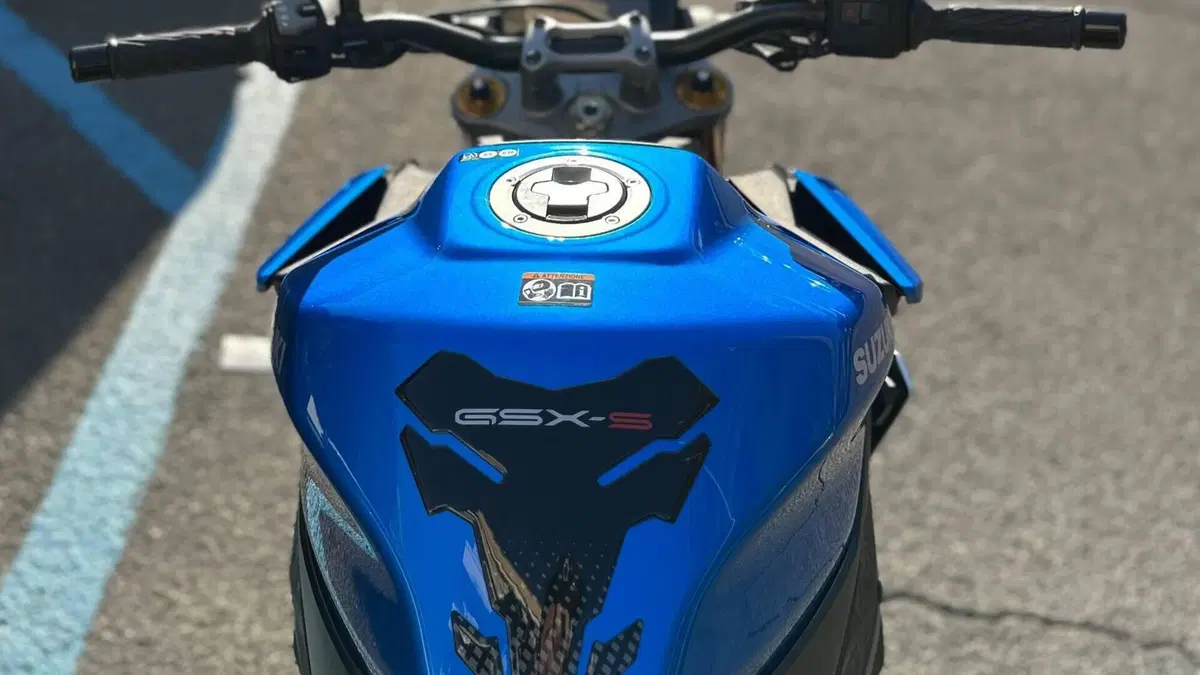 Suzuki GSX-S1000 (2021 - 25)  (8)