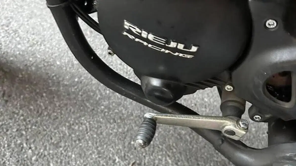 Rieju MRT 50 Motard Trophy (2018 - 20)  (6)