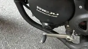 Rieju MRT 50 Motard Trophy (2018 - 20)  (6)