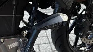 CFMOTO 300NK (2021 - 26)  (4)