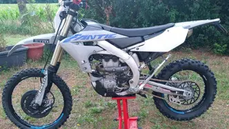 Yamaha WR 250 F (2021)