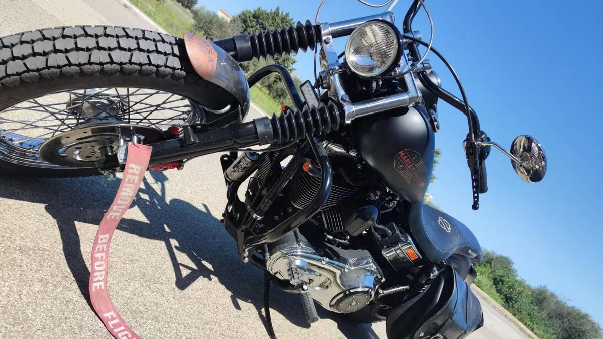 Harley-Davidson 1450 Low Rider (1999 - 03) - FXDL  (5)