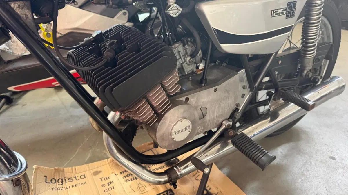 Benelli   (2)