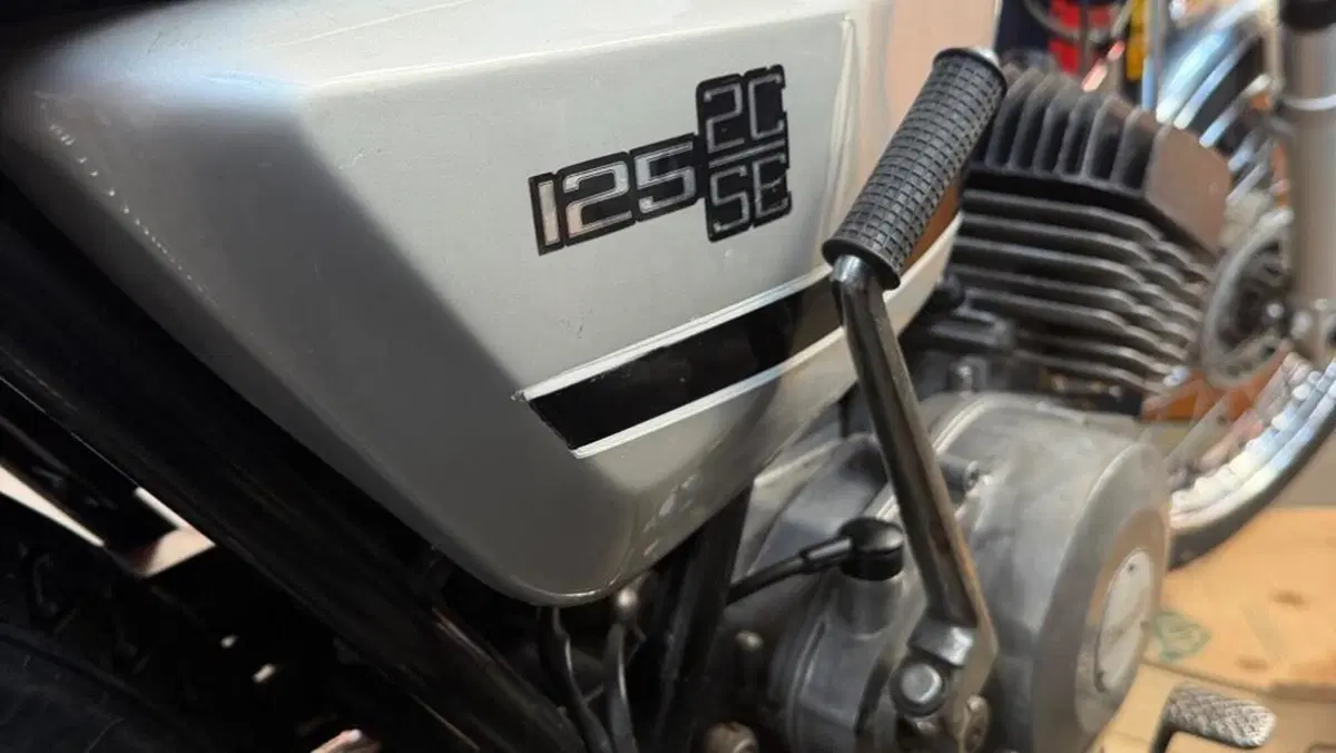 Benelli   (5)