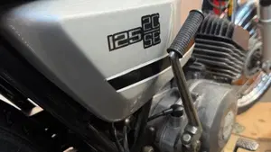 Benelli   (5)