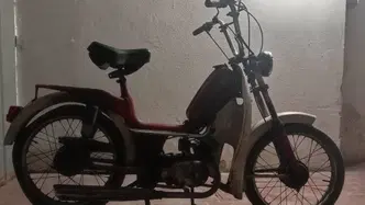 Betamotor 