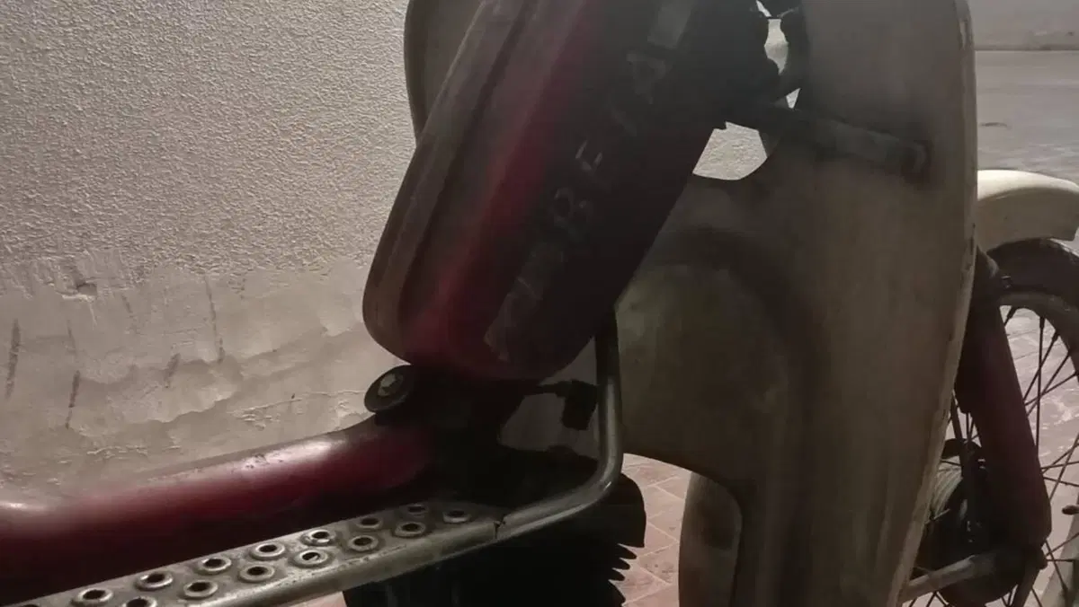 Betamotor   (2)