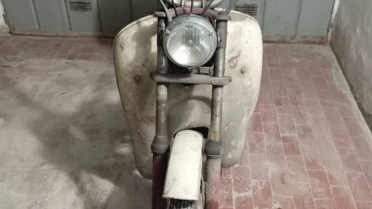 Betamotor   (4)