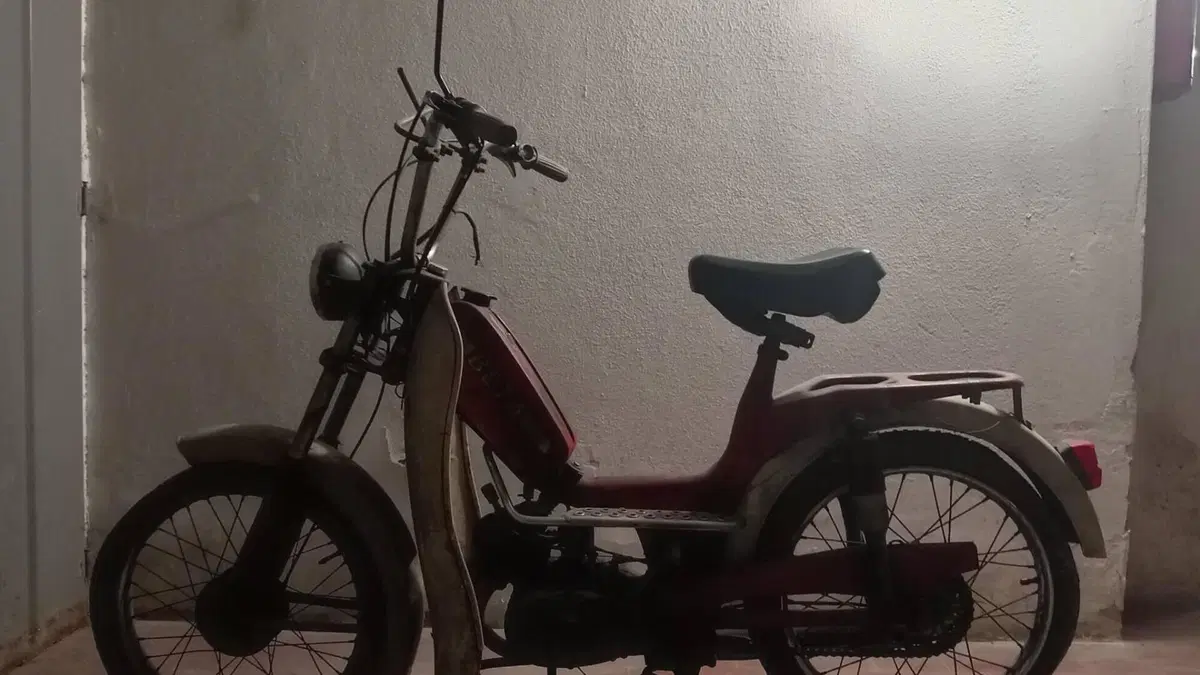 Betamotor   (2)