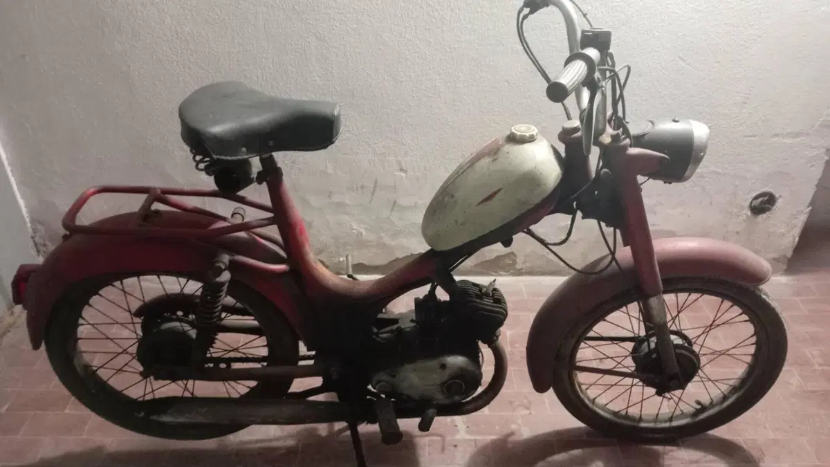 Betamotor   (3)