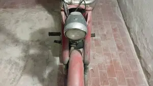 Betamotor   (4)