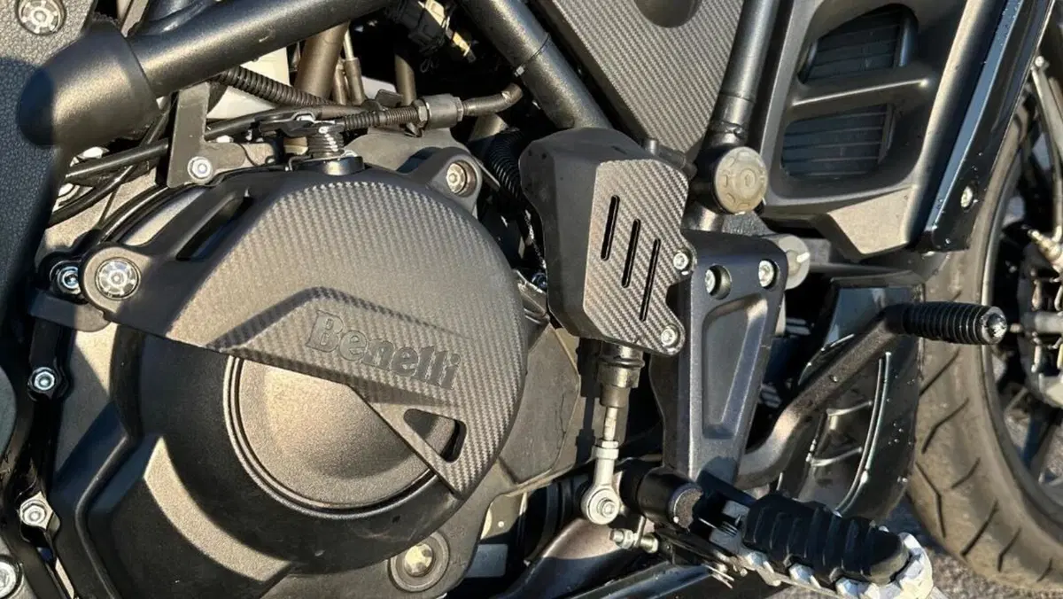 Benelli 502 C (2021 - 25)  (10)