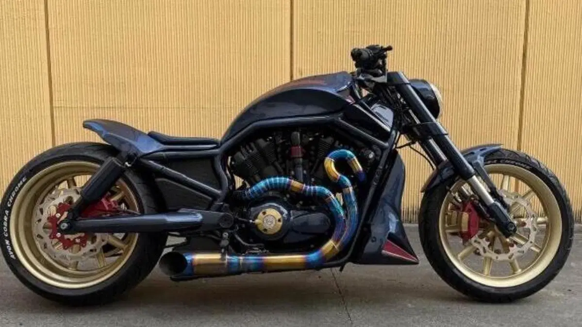 Harley-Davidson 1130 Street Rod (2006 - 07) - VRSCR  (9)