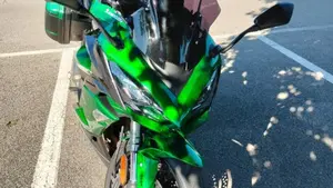 Kawasaki Ninja 1000 SX (2020)  (2)
