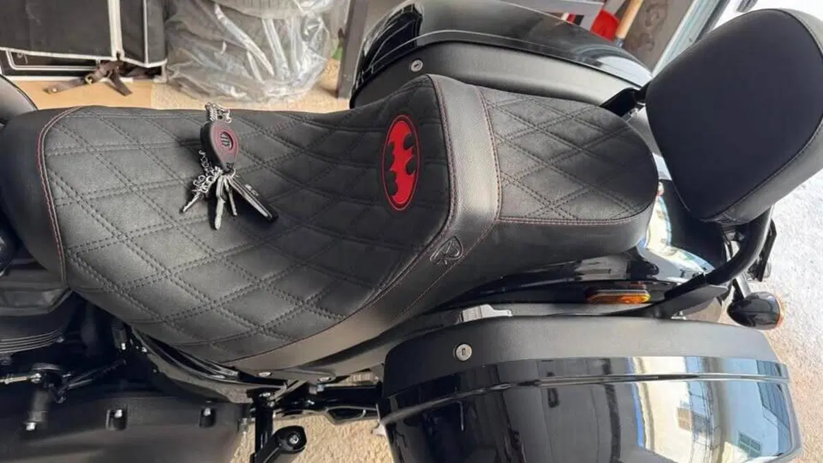 Harley-Davidson Low Rider ST (2022 - 24)  (4)
