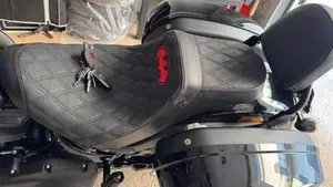 Harley-Davidson Low Rider ST (2022 - 24)  (4)