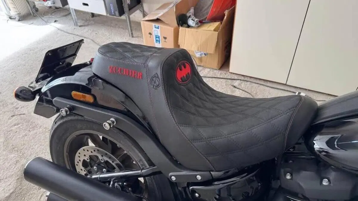 Harley-Davidson Low Rider ST (2022 - 24)  (7)