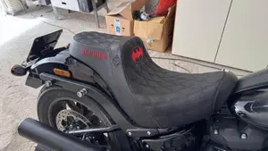 Harley-Davidson Low Rider ST (2022 - 24)  (7)