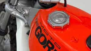 Gori   (4)