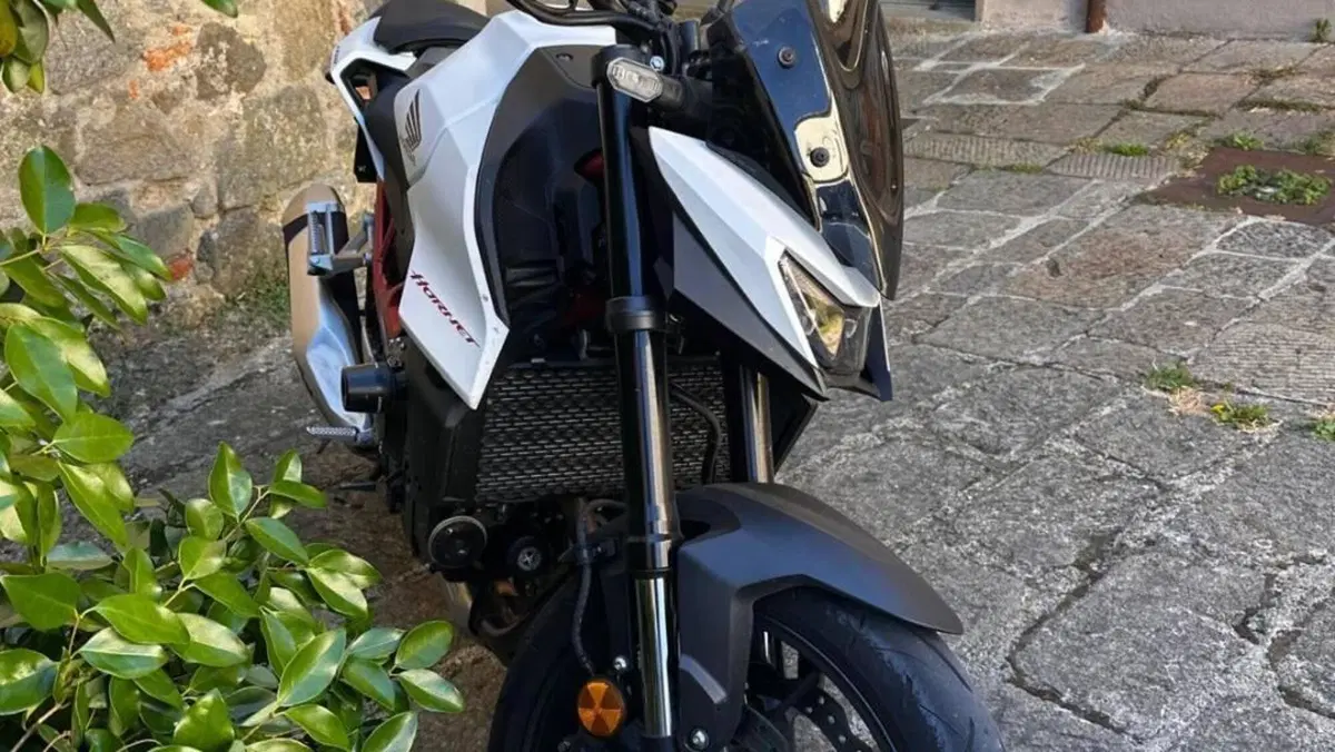 Honda CB 750 Hornet (2025)  (6)