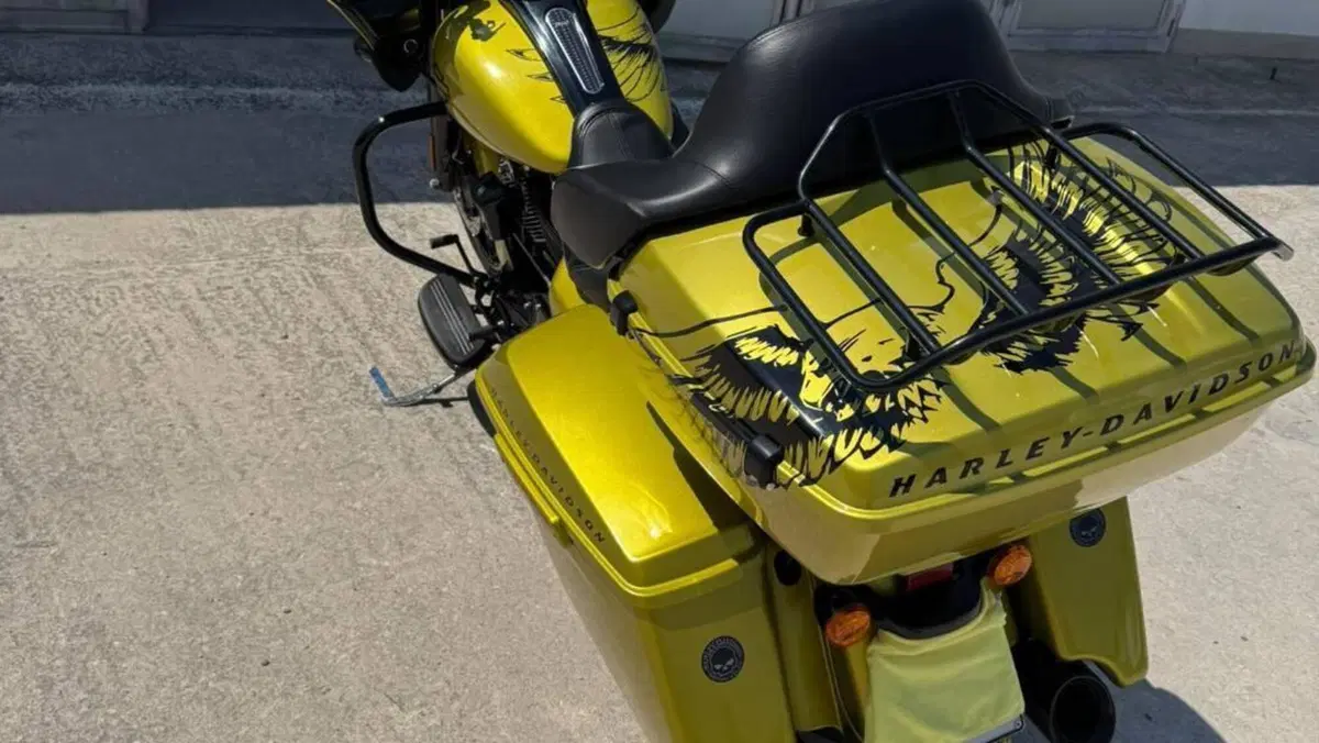 Harley-Davidson 114 Road Glide Special (2019 - 20) - FLTRXS  (2)