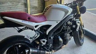 Triumph Speed Triple 1050 (2011 - 13)