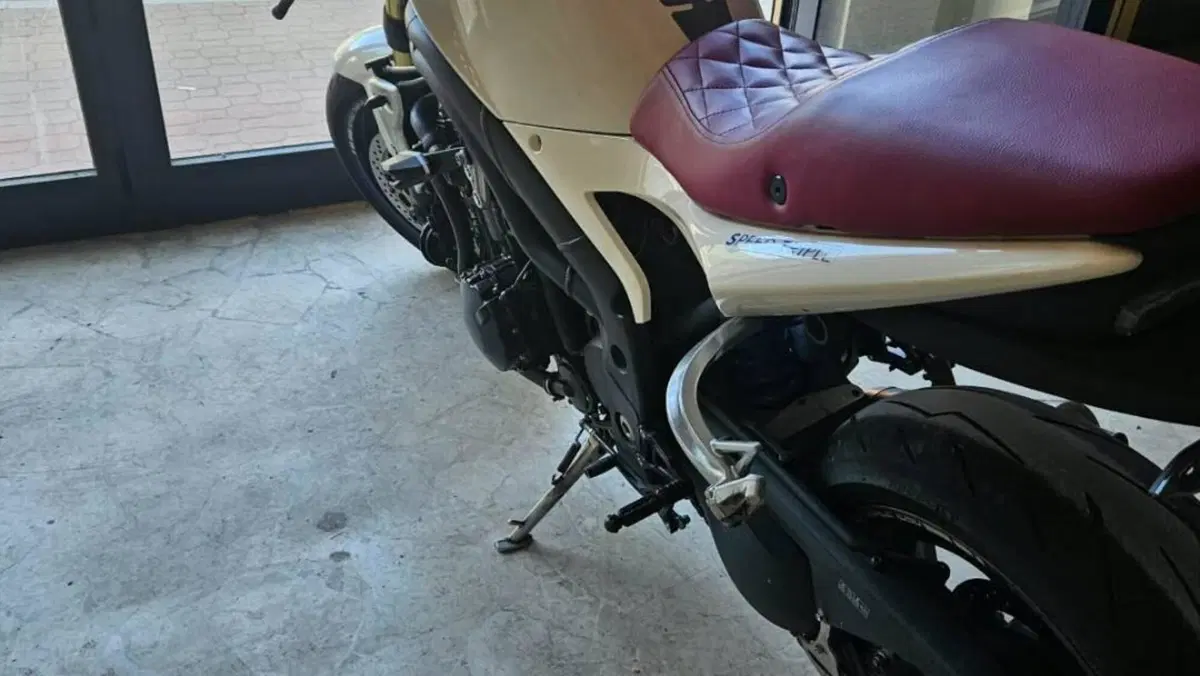 Triumph Speed Triple 1050 (2011 - 13)  (2)