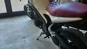Triumph Speed Triple 1050 (2011 - 13)  (2)