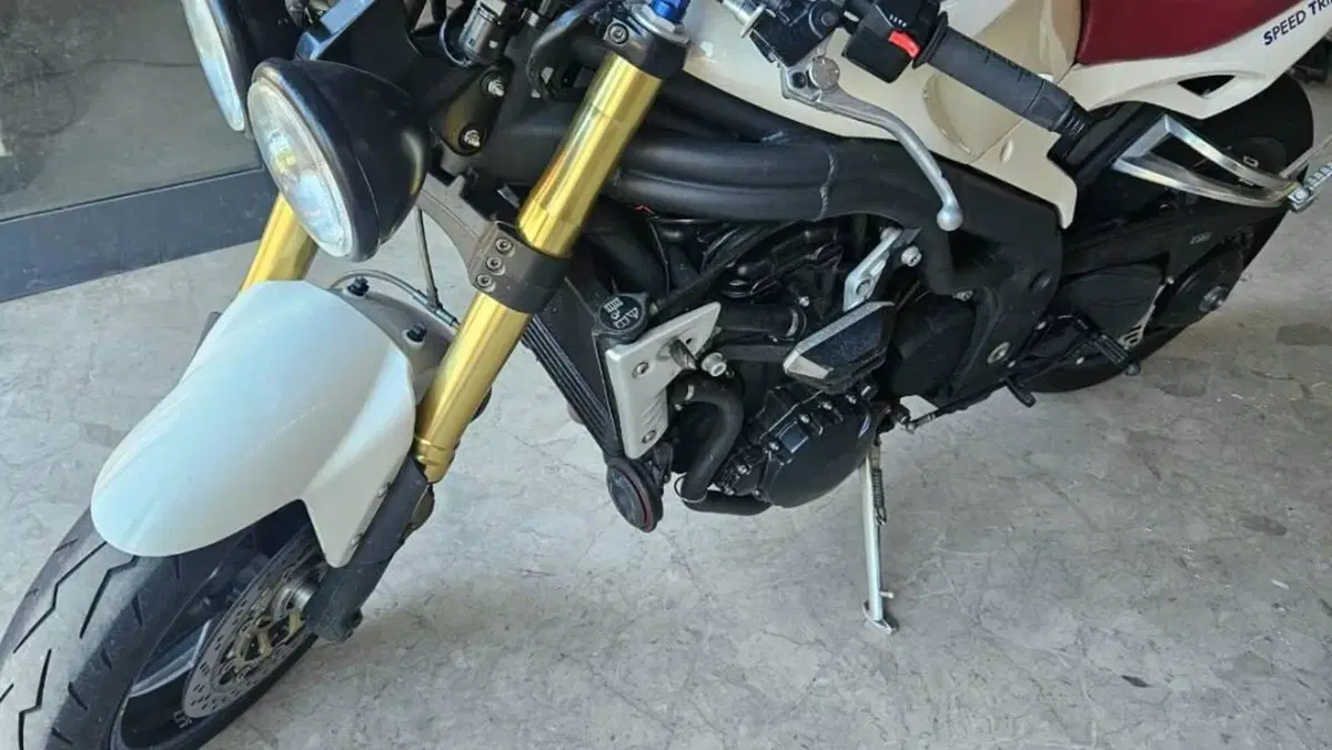 Triumph Speed Triple 1050 (2011 - 13)  (3)