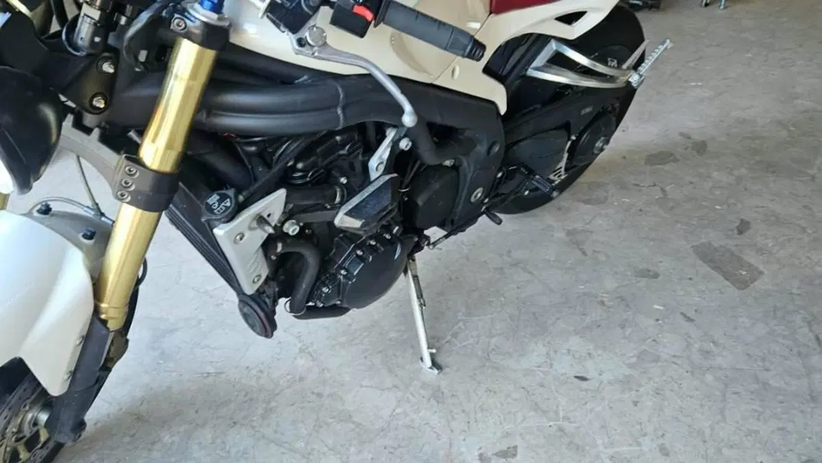 Triumph Speed Triple 1050 (2011 - 13)  (4)