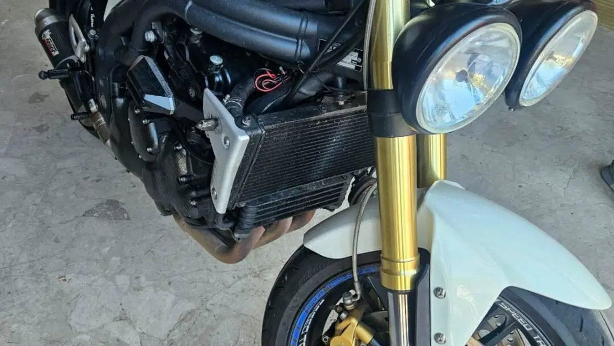 Triumph Speed Triple 1050 (2011 - 13)  (5)