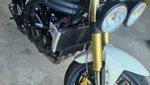 Triumph Speed Triple 1050 (2011 - 13)  (5)
