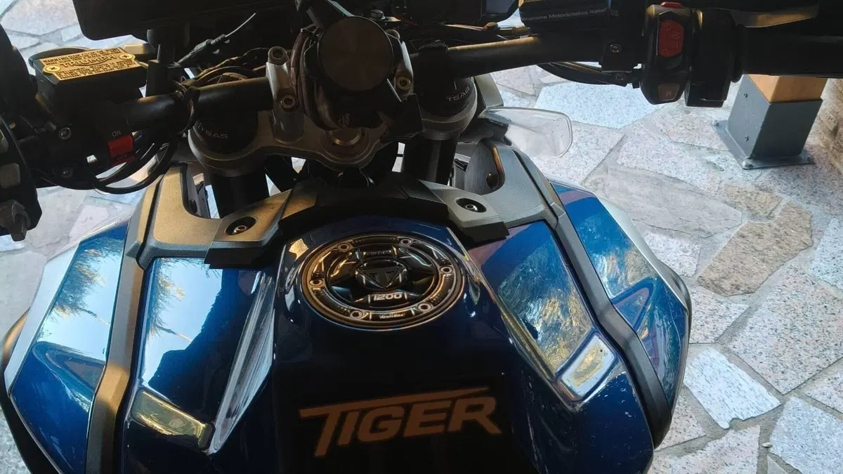 Triumph Tiger 1200 XRt (2018 - 20)  (6)