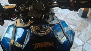 Triumph Tiger 1200 XRt (2018 - 20)  (6)