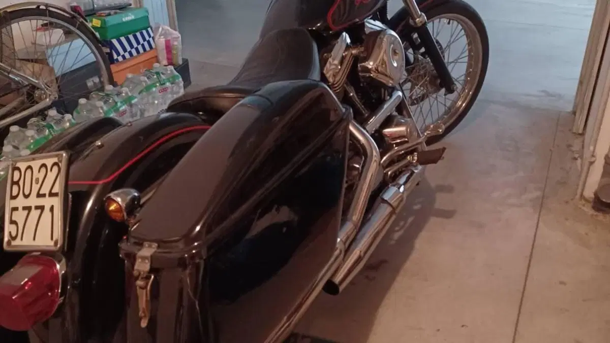 Harley-Davidson 1340 Low Rider Custom (1989 - 93) - FXLR  (11)