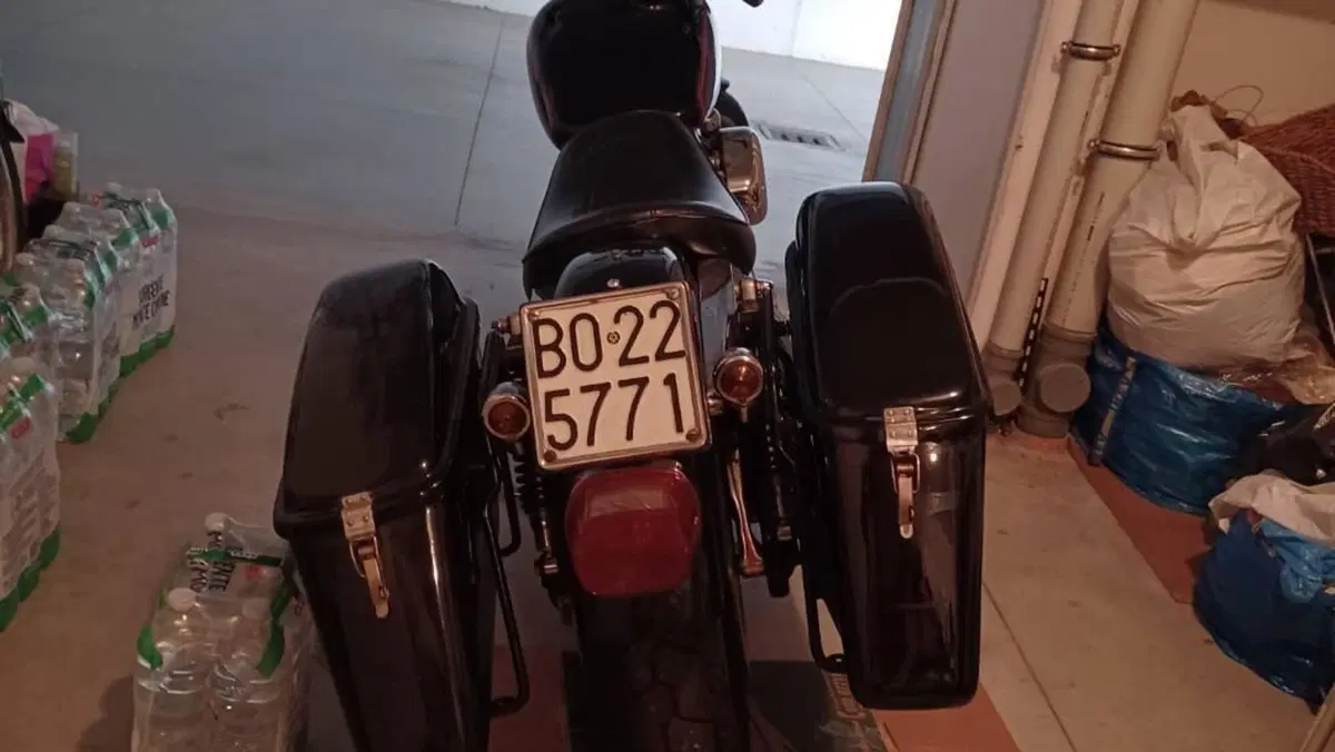 Harley-Davidson   (9)