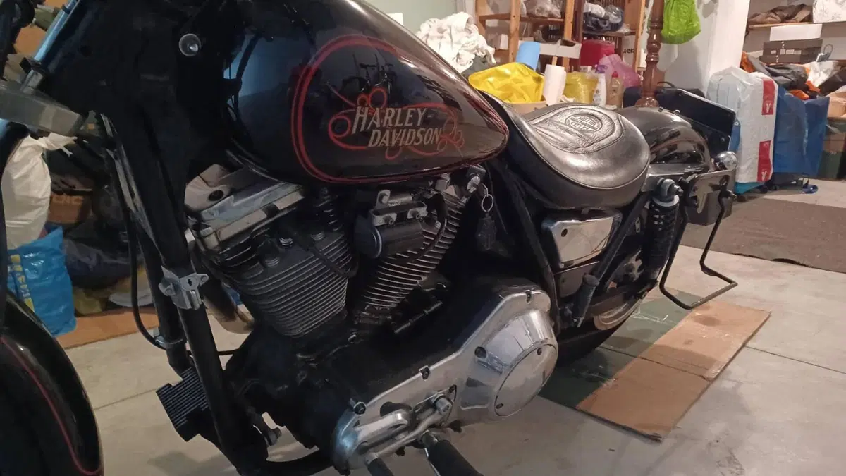 Harley-Davidson   (10)
