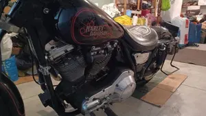 Harley-Davidson   (10)