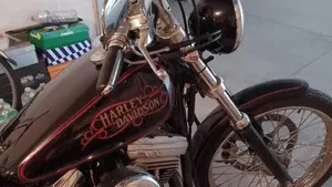 Harley-Davidson   (12)