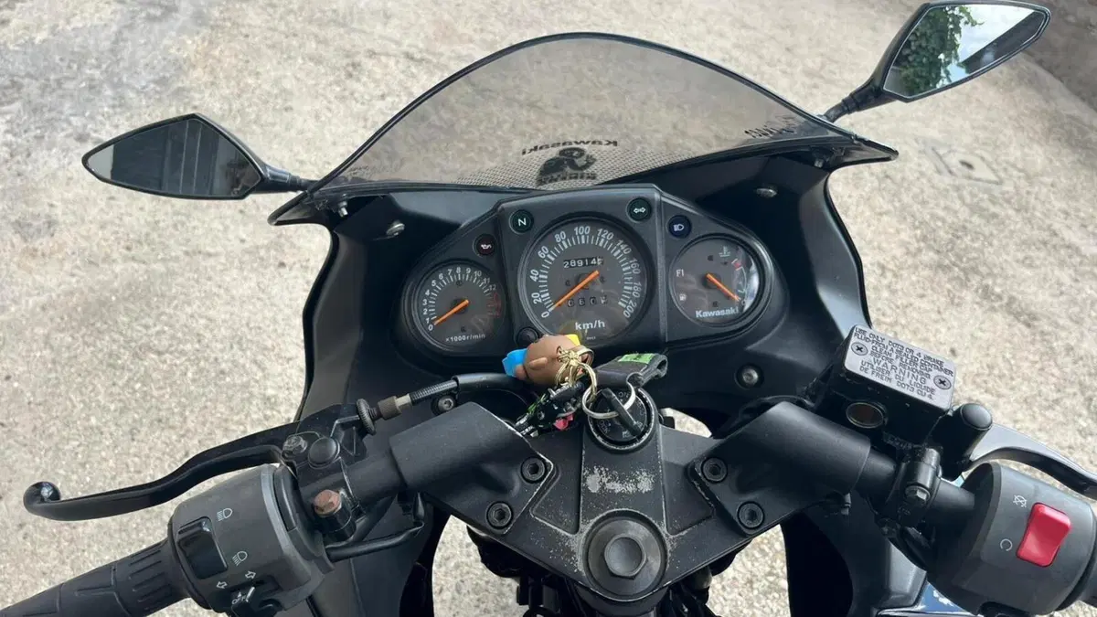 Kawasaki Ninja 250 R (2007 - 13)  (5)