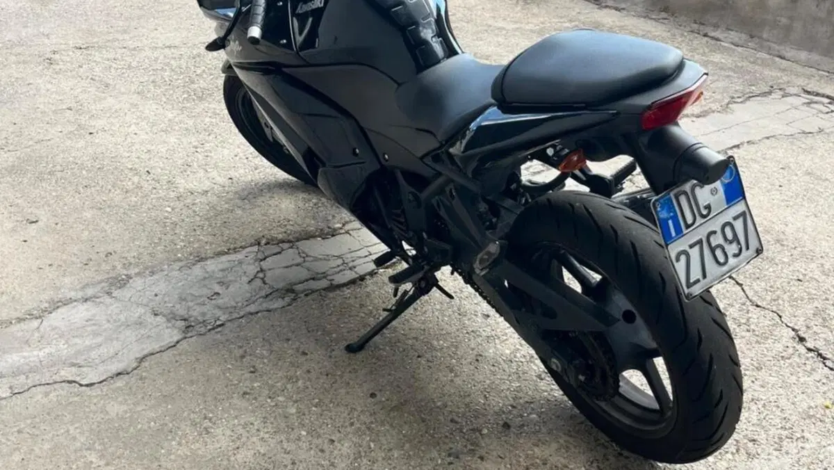 Kawasaki Ninja 250 R (2007 - 13)  (6)