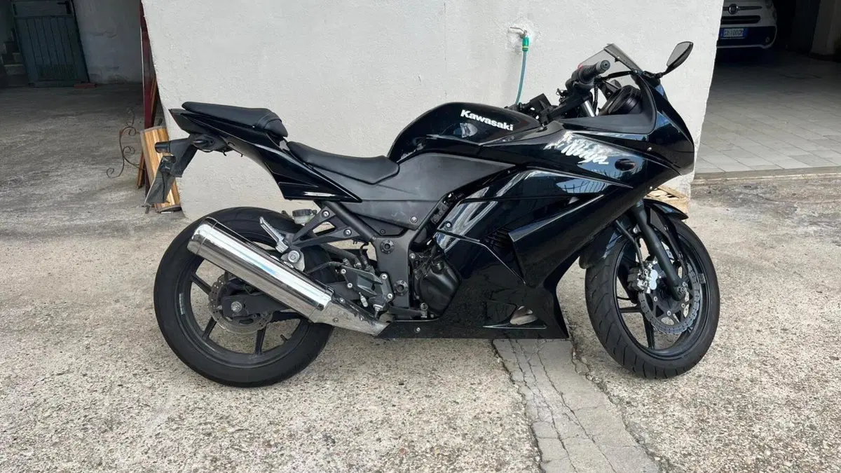 Kawasaki Ninja 250 R (2007 - 13)  (7)