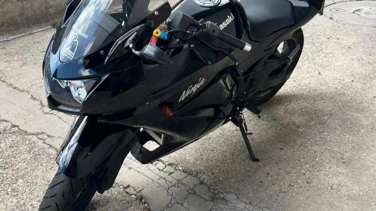Kawasaki Ninja 250 R (2007 - 13)  (8)
