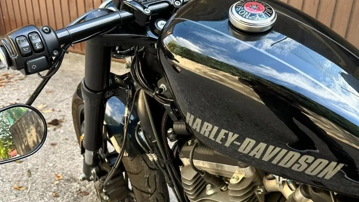 Harley-Davidson 1200 Custom (2017) - XL 1200C  (2)