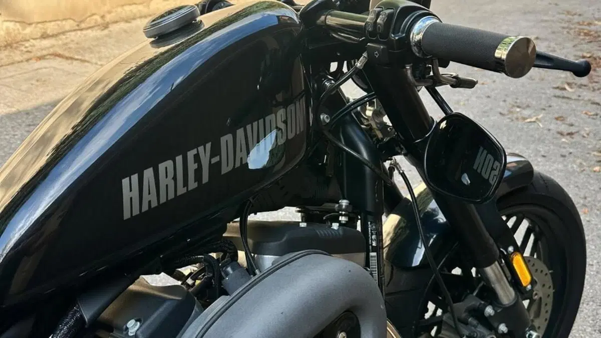 Harley-Davidson 1200 Custom (2017) - XL 1200C  (4)