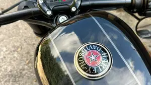 Harley-Davidson 1200 Custom (2017) - XL 1200C  (5)