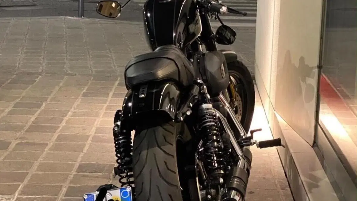 Harley-Davidson 1200 Custom (2017) - XL 1200C  (7)